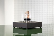 NUOVO Piatto Presentazione Libera Led per Decorazione Soggiorno Regalo Donna