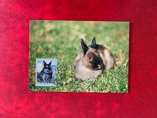 MAXI CARD NUOVA ZELANDA 1999