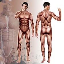 Costume cosplay tuta muscolare
