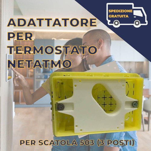 Termostato caldaia netatmo - termostato,