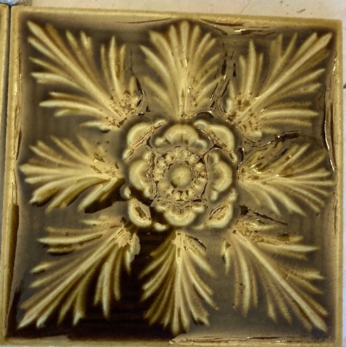 Fiori celesti set di 5 - fiori,