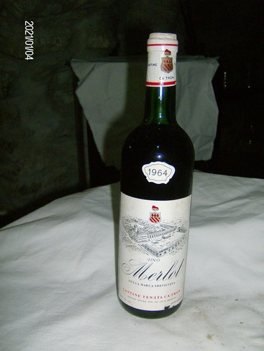 Merlot tron n 1 - -, n.1