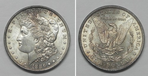 X7747 1886 dollaro morgan - 1886,