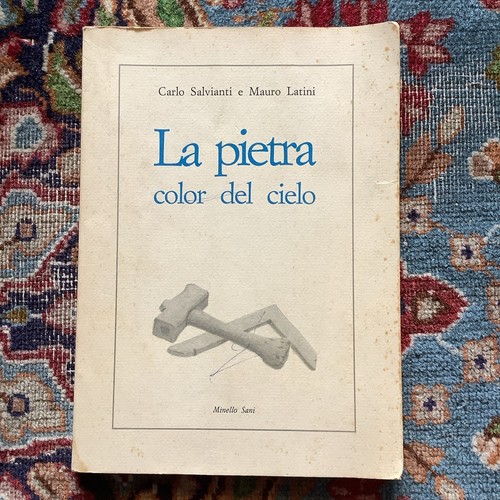 Salvianti latini pietra - e, la