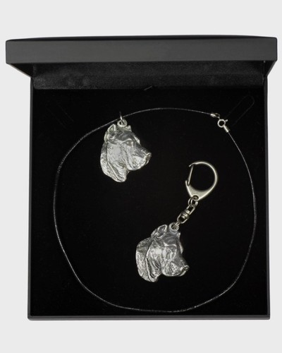 Dogo canario set - canario,