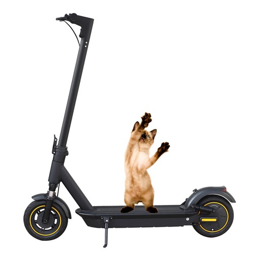 Electric scooter for - electric,