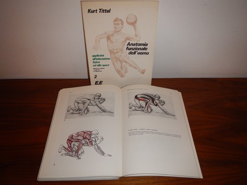 Kurt tittel anatomia - tittel,