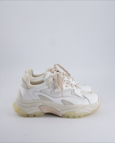 Scarpe ginnastica ash - scarpe,