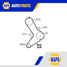 Cinghia distribuzione adatta a