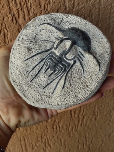 Minerali trilobite - minerali,