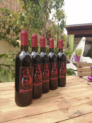 Vino rosso sardegna - di,