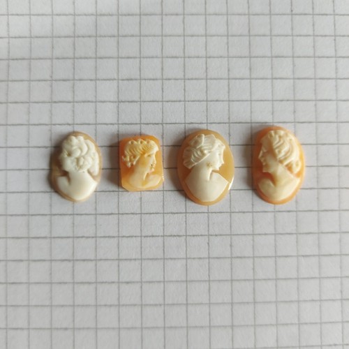 Cammeo camei cameos conchiglia - camei,