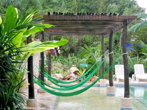 Mexi verde amaca - -, a