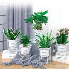 Durevole Balcone Camera Vaso