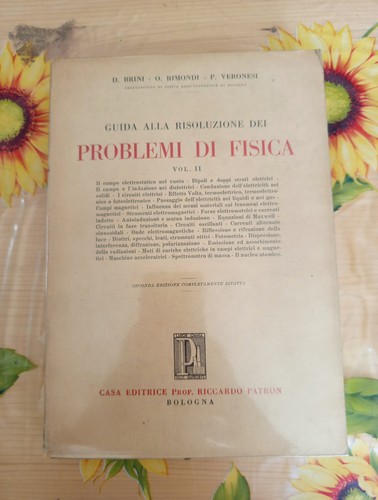 Problemi fisica brini - problemi, fisica-d.brini