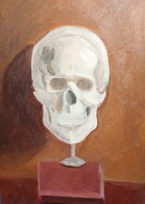 Natura morta con teschio umano