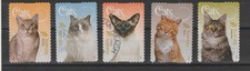2015 AUSTRALIA  FAUNA GATTI 5 VAL. USATI ADESIVI N°4425/4429 MF121318