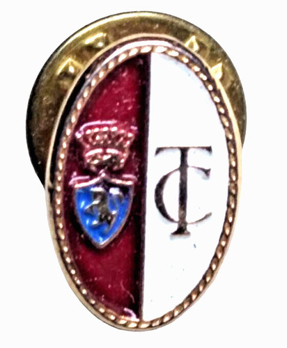 Distintivo spilla pin badge - distintivo,