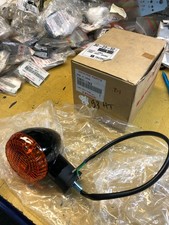 lampeggiante anteriore