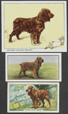 3 diverse carte vintage GOLDEN