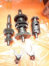 Cambio 4 Marce Fantic Koala