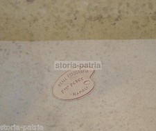 NAPOLI_FOTOGRAFO PESCE_ANTICA FOTOGRAFIA_ARTE_STORIA LOCALE_MUSICA_ORGANO CANNE