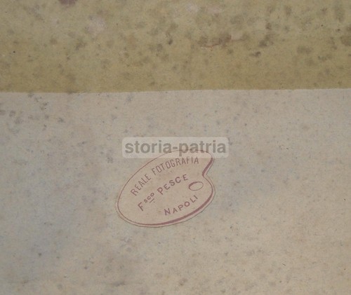 Napoli fotografo pesce antica - napoli_fotografo, pesce_antica
