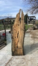 Tavola legno ulivo 171 x - di,