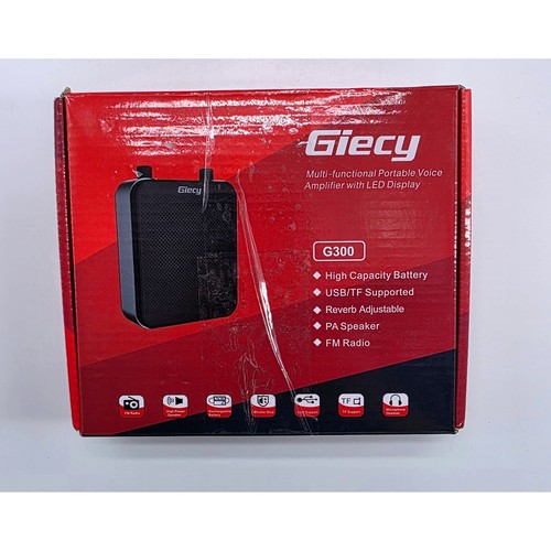 Giecy g300 amplificatore - g300,