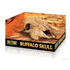 EXO TERRA BUFALO SKULL TESCHIO
