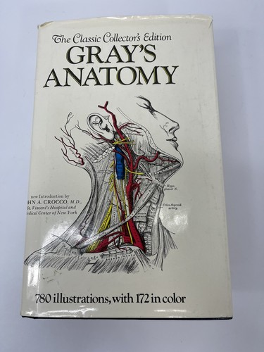 1977 gray anatomy - gray’s,