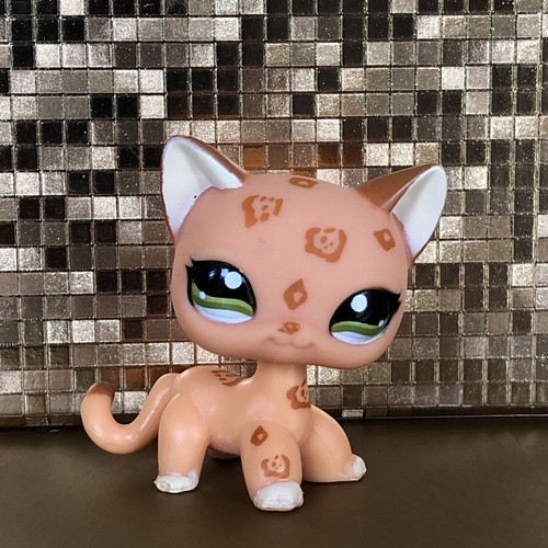Littlest pet shop shorthair - shop,