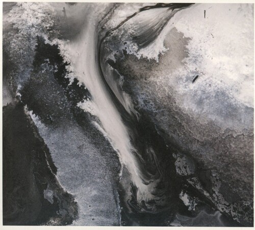 Novo amor heiress new vinyl - amor,