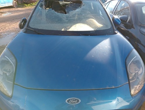 Cofano 1739253 per ford - ford, puma