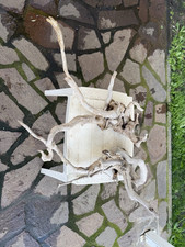 N.2 legni naturali Drift wood PER ACQUARIO E TERRARIO misura XL