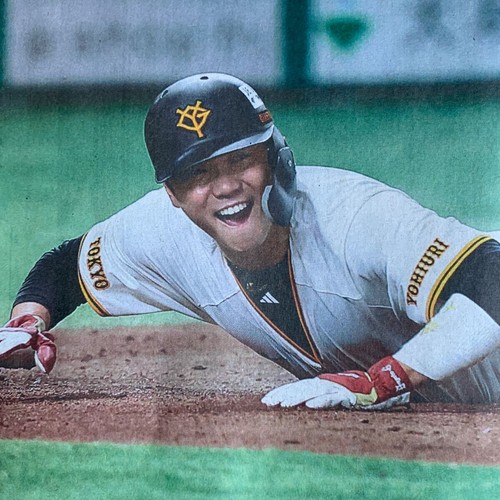Pro baseball climax - baseball,