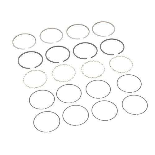 Set fasce elastiche - set,