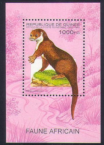 Guinea 1995 mnh lontra - guinea, ms,