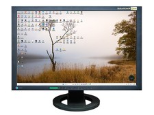 Eizo Flexscan SX2462 Monitor