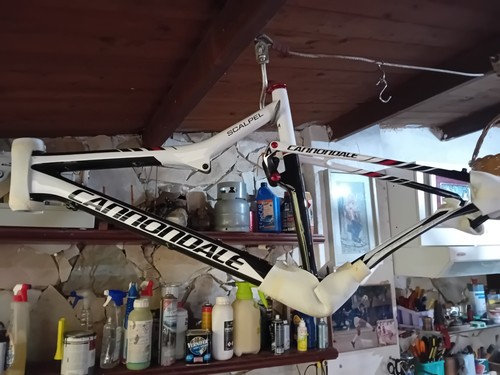 Telaio mtb carbonio - mtb, 29