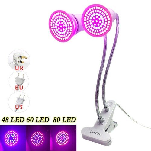 Lampada 220v led luce - 48/60/80,
