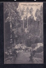 Cartolina Craveggia Nella