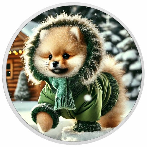 Arctic adorable cucciolo - ,
