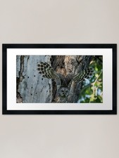 Stampa artistica con cornice