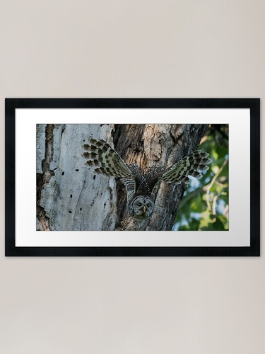Stampa artistica con - , cornice