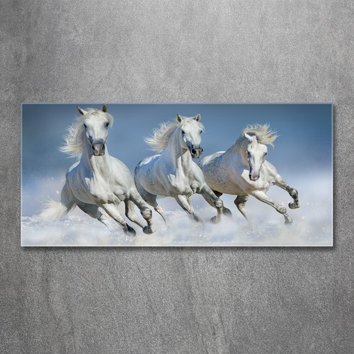 Quadro tulup stampa vetro - tulup,