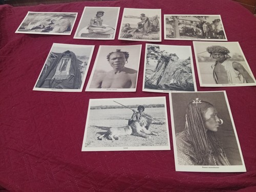 Lotto cartoline eritrea - 10,