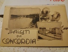 Cartolina Saluti Da Concordia S/S  Modena Antica Fiume Secchia Fp Viag 1917 N 2