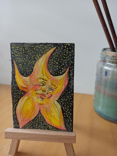 Aceo stella celeste - aceo, peachy