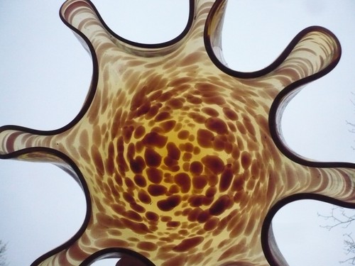 Elegante grande ciotola - grande,